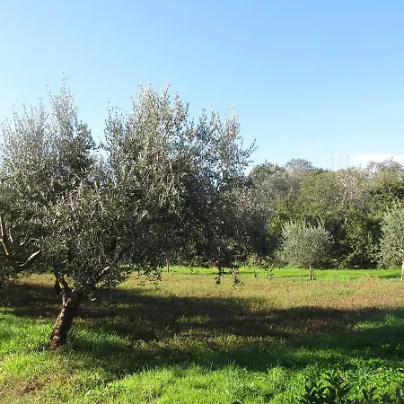 Valentina Appartement *