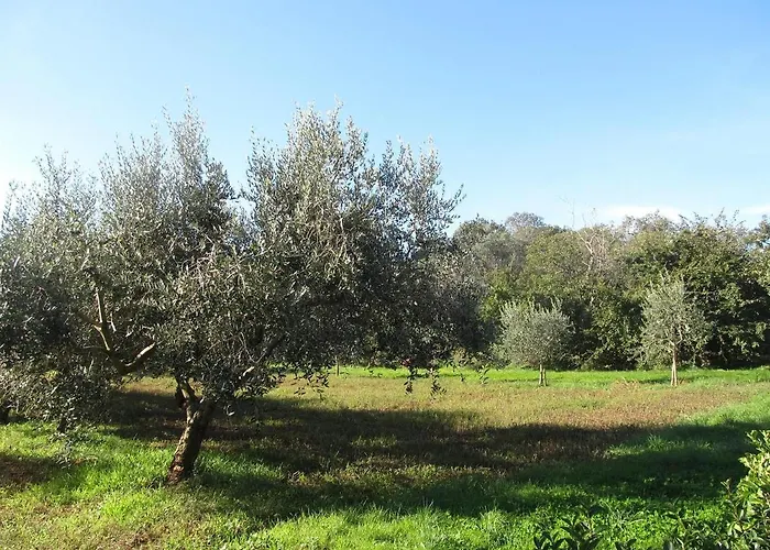 Valentina Appartement *